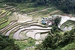 Banaue_09778rt