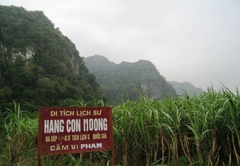 Con Moong Cave, Vietnam Net 20121229