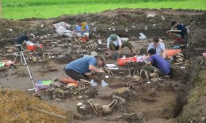 Excavations at Con Co Ngua, Science Alert 20130501