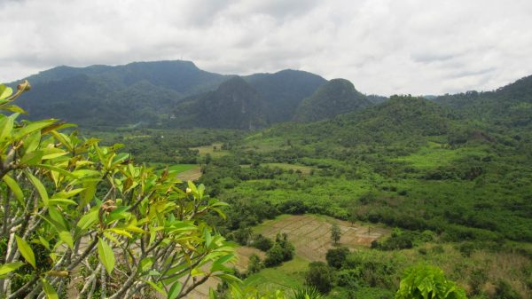 Lowland Palawan by Noel Amano. Source: EurekaAlert, 20190128