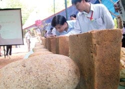 Cham Tower found in Da Nang, Viet Nam News 20120829