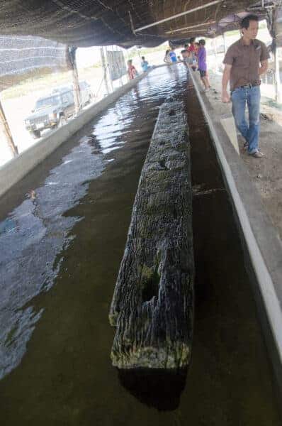 The 17m kelson, the wooden beam running at the bottom of the ship reinforcing the keel, is kept submerged in water to preserve it.The 17m kelson, the wooden beam running at the bottom of the ship reinforcing the keel, is kept submerged in water to preserve it.