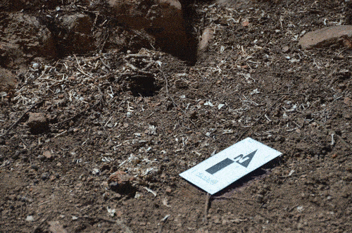 New Paper: Palaeoecological Interactions and Owl Roosting at Alor Island, Eastern Indonesia