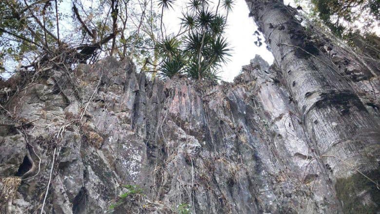 Kngok Meas mountain in Stung Treng province. Source: Phnom Penh Post 20190206