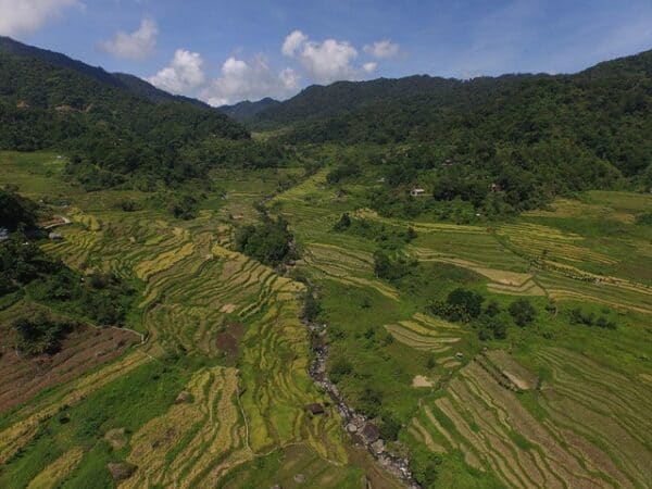 Ifugao Rice Terraces. Source: Ifugao Archaeological Project, via Rappler 20190414