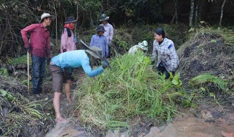 Clearing works at Angkor Thom Temple – Southeast Asian Archaeology