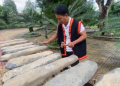 Source: Vietnam Plus 20240120